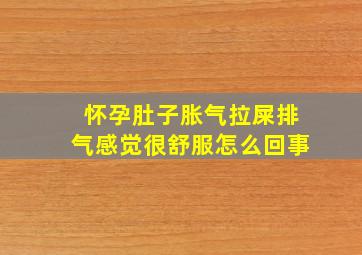 怀孕肚子胀气拉屎排气感觉很舒服怎么回事