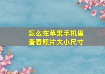 怎么在苹果手机里查看照片大小尺寸