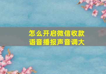 怎么开启微信收款语音播报声音调大