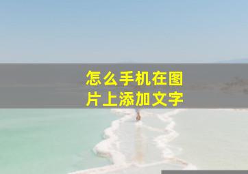 怎么手机在图片上添加文字