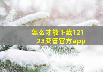 怎么才能下载12123交管官方app