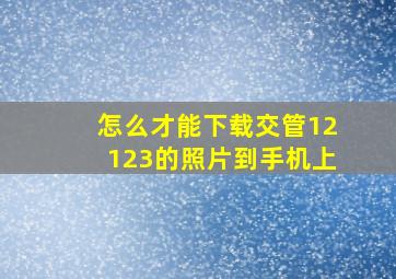 怎么才能下载交管12123的照片到手机上