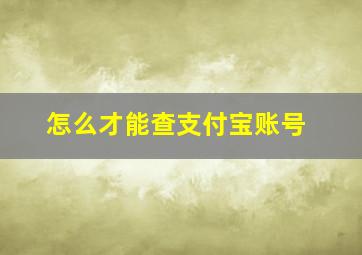 怎么才能查支付宝账号