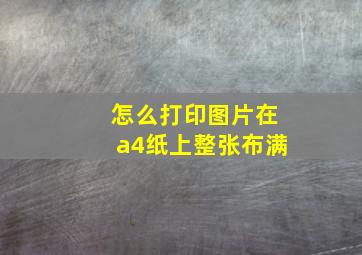 怎么打印图片在a4纸上整张布满