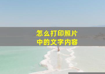 怎么打印照片中的文字内容