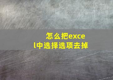 怎么把excel中选择选项去掉