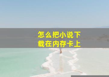 怎么把小说下载在内存卡上