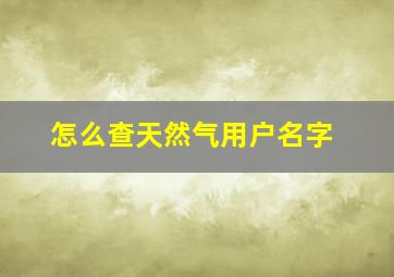 怎么查天然气用户名字