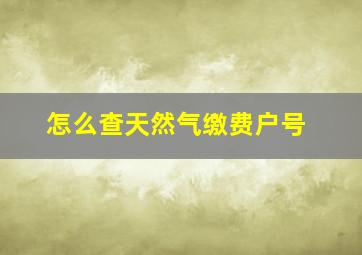 怎么查天然气缴费户号