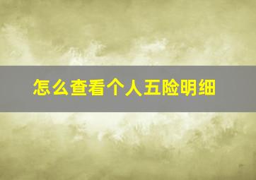 怎么查看个人五险明细