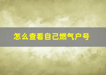 怎么查看自己燃气户号