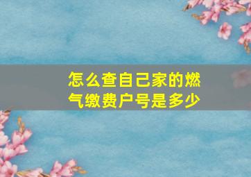 怎么查自己家的燃气缴费户号是多少