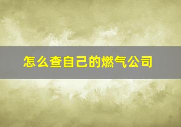 怎么查自己的燃气公司