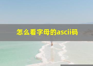 怎么看字母的ascii码