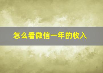 怎么看微信一年的收入