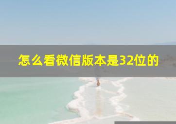 怎么看微信版本是32位的