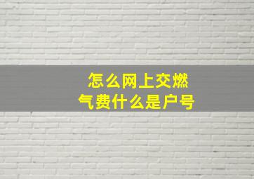 怎么网上交燃气费什么是户号