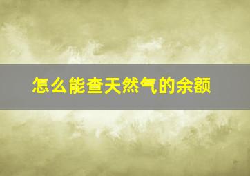 怎么能查天然气的余额