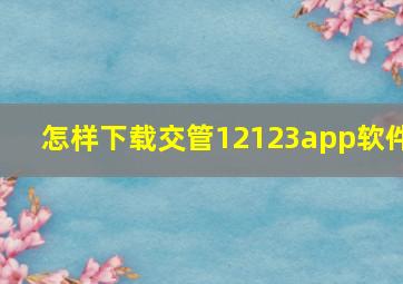 怎样下载交管12123app软件