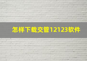 怎样下载交管12123软件