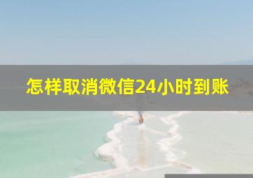 怎样取消微信24小时到账