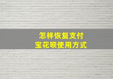 怎样恢复支付宝花呗使用方式