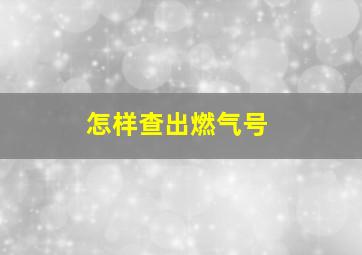 怎样查出燃气号