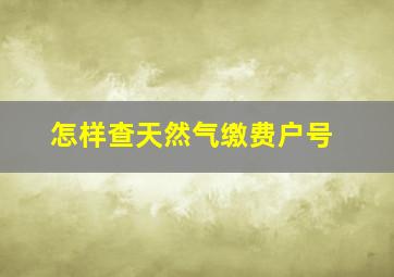 怎样查天然气缴费户号