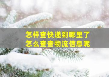 怎样查快递到哪里了怎么查查物流信息呢