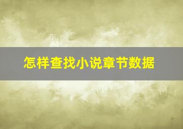 怎样查找小说章节数据