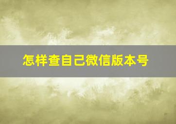 怎样查自己微信版本号