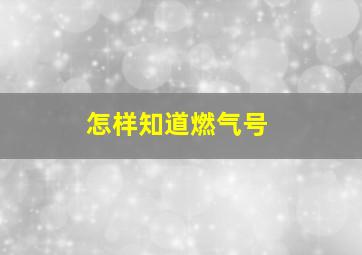 怎样知道燃气号