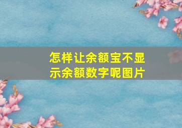 怎样让余额宝不显示余额数字呢图片