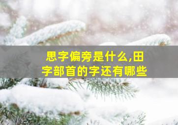 思字偏旁是什么,田字部首的字还有哪些