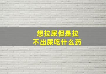 想拉屎但是拉不出屎吃什么药