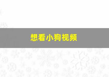 想看小狗视频