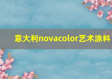 意大利novacolor艺术涂料