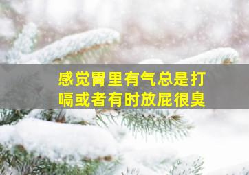 感觉胃里有气总是打嗝或者有时放屁很臭