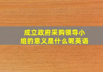 成立政府采购领导小组的意义是什么呢英语