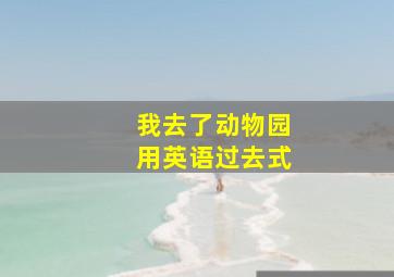 我去了动物园用英语过去式