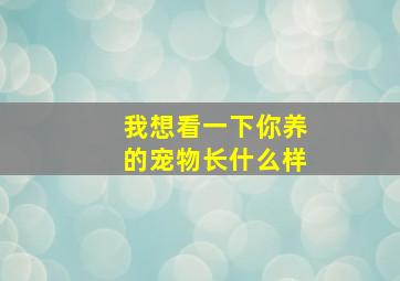 我想看一下你养的宠物长什么样