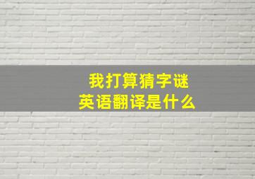 我打算猜字谜英语翻译是什么