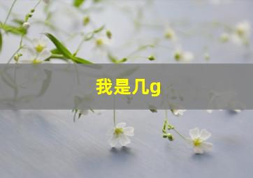 我是几g