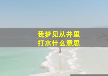 我梦见从井里打水什么意思