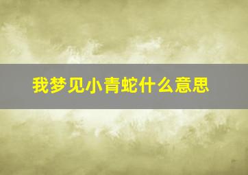 我梦见小青蛇什么意思