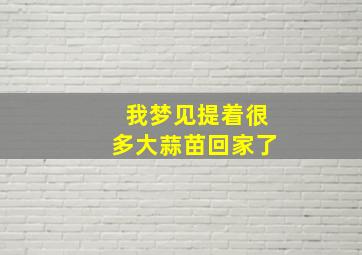 我梦见提着很多大蒜苗回家了