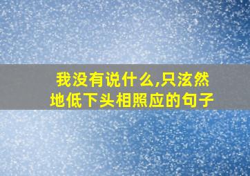 我没有说什么,只泫然地低下头相照应的句子