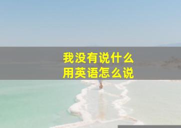 我没有说什么用英语怎么说