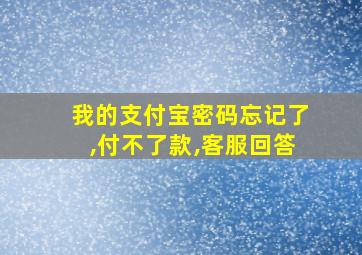 我的支付宝密码忘记了,付不了款,客服回答