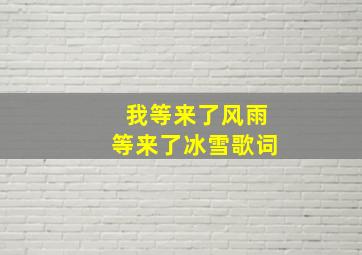 我等来了风雨等来了冰雪歌词